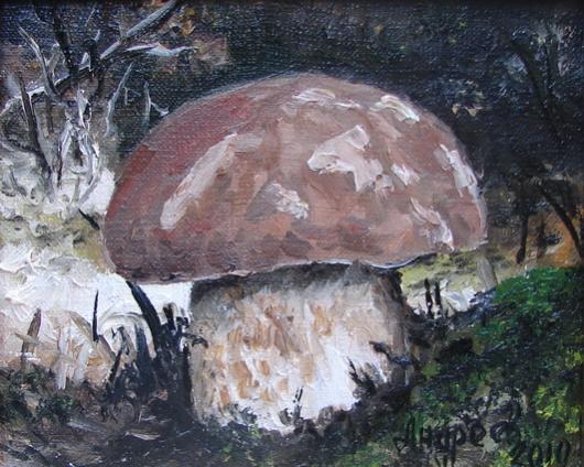 autumn   Borovik  mushrooms  